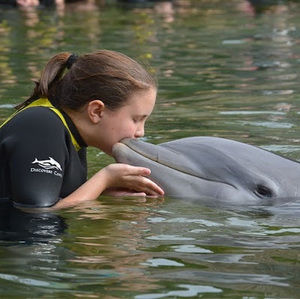 Meet your Posher, Kaydence